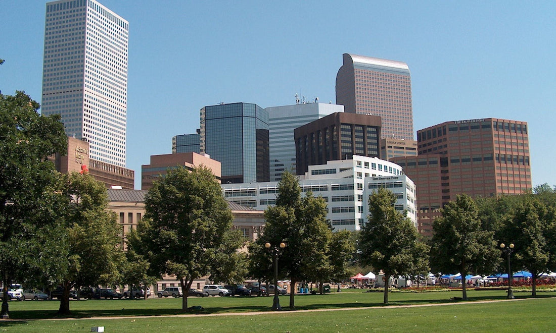 The Best Tattoo Shops in Denver: What Makes a Great Studio?